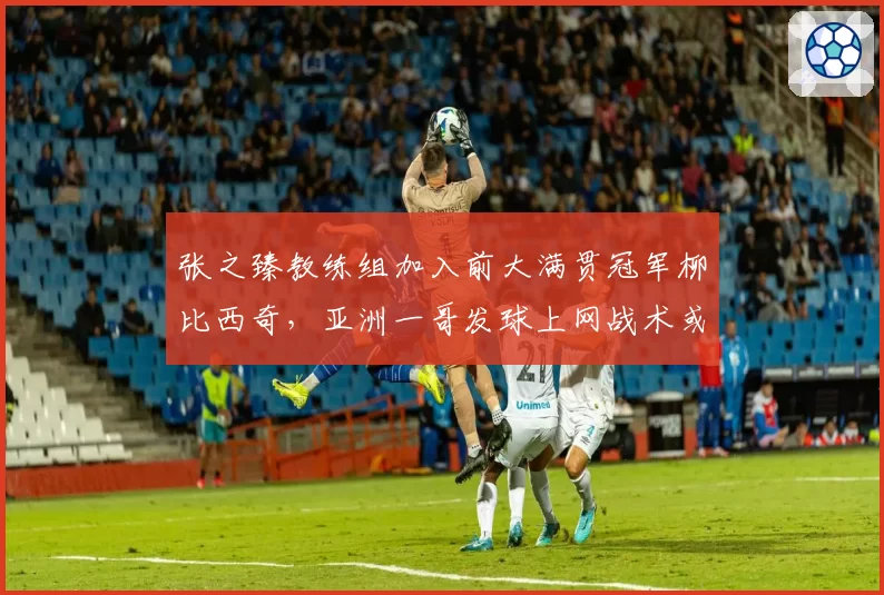 张之臻教练组加入前大满贯冠军柳比西奇，亚洲一哥发球上网战术或迎来革命