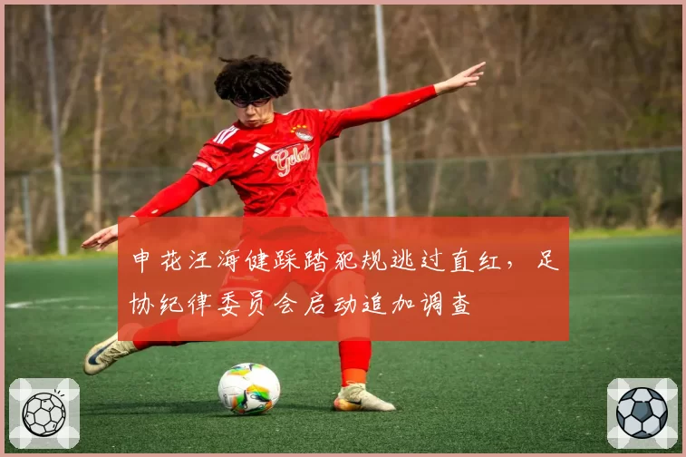 申花汪海健踩踏犯规逃过直红，足协纪律委员会启动追加调查