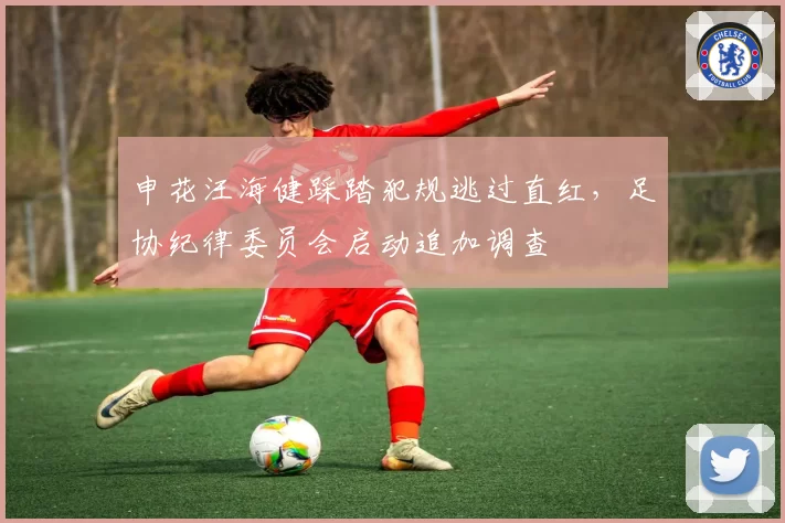 申花汪海健踩踏犯规逃过直红，足协纪律委员会启动追加调查